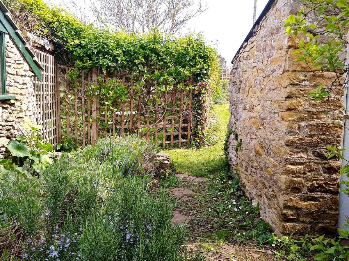 Badgers Cottage Уэймут Экстерьер фото